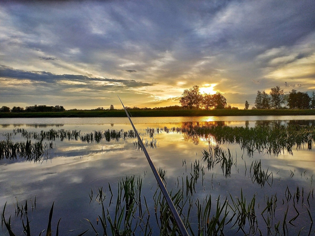 Что такое Аленятник (именно так, через А)?
