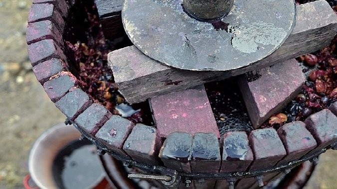 Вирус не выживет в испанском вине: осторожная гипотеза