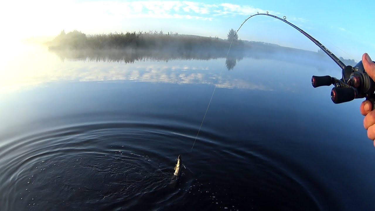 Опрос для рыбаков