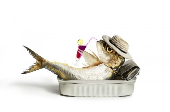 Пьет ли рыба воду?