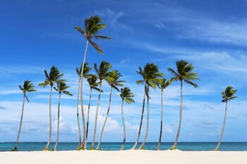 В Доминикане объявили национальную эпидемию коронавируса