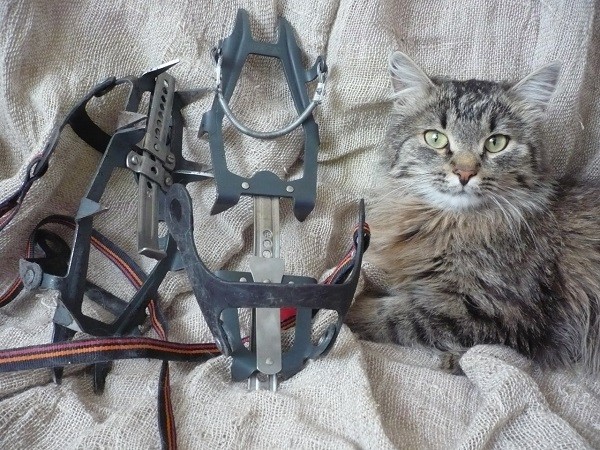 Альпинистские кошки: от примитива к модернизации