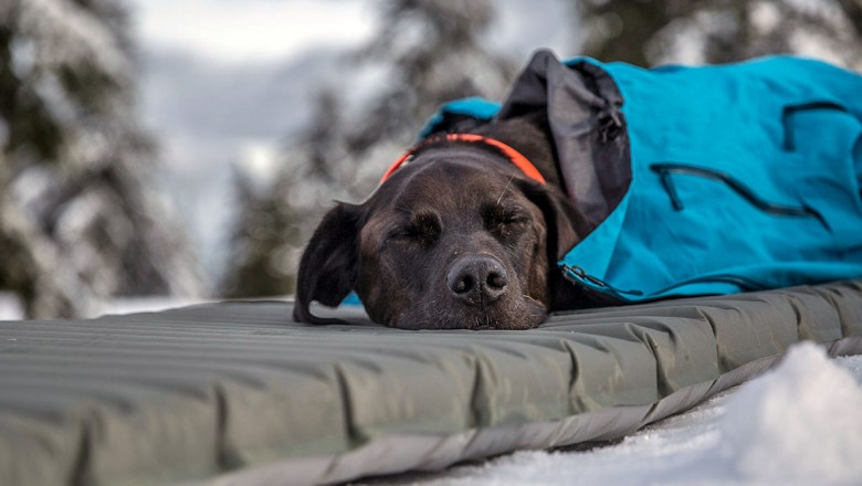 Как выбрать туристический коврик?
