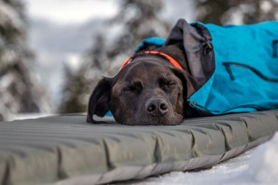 Как выбрать туристический коврик?