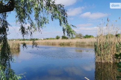 Туризм в Самарском районе Днепра: природа, история и уют загородной жизни